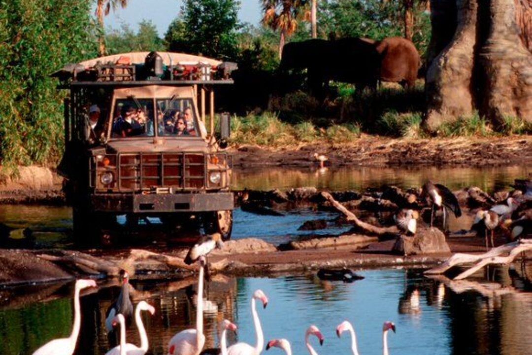 Kilimanjaro Safaris _ Animal Kingdom Attractions _ Walt Disney World Resort